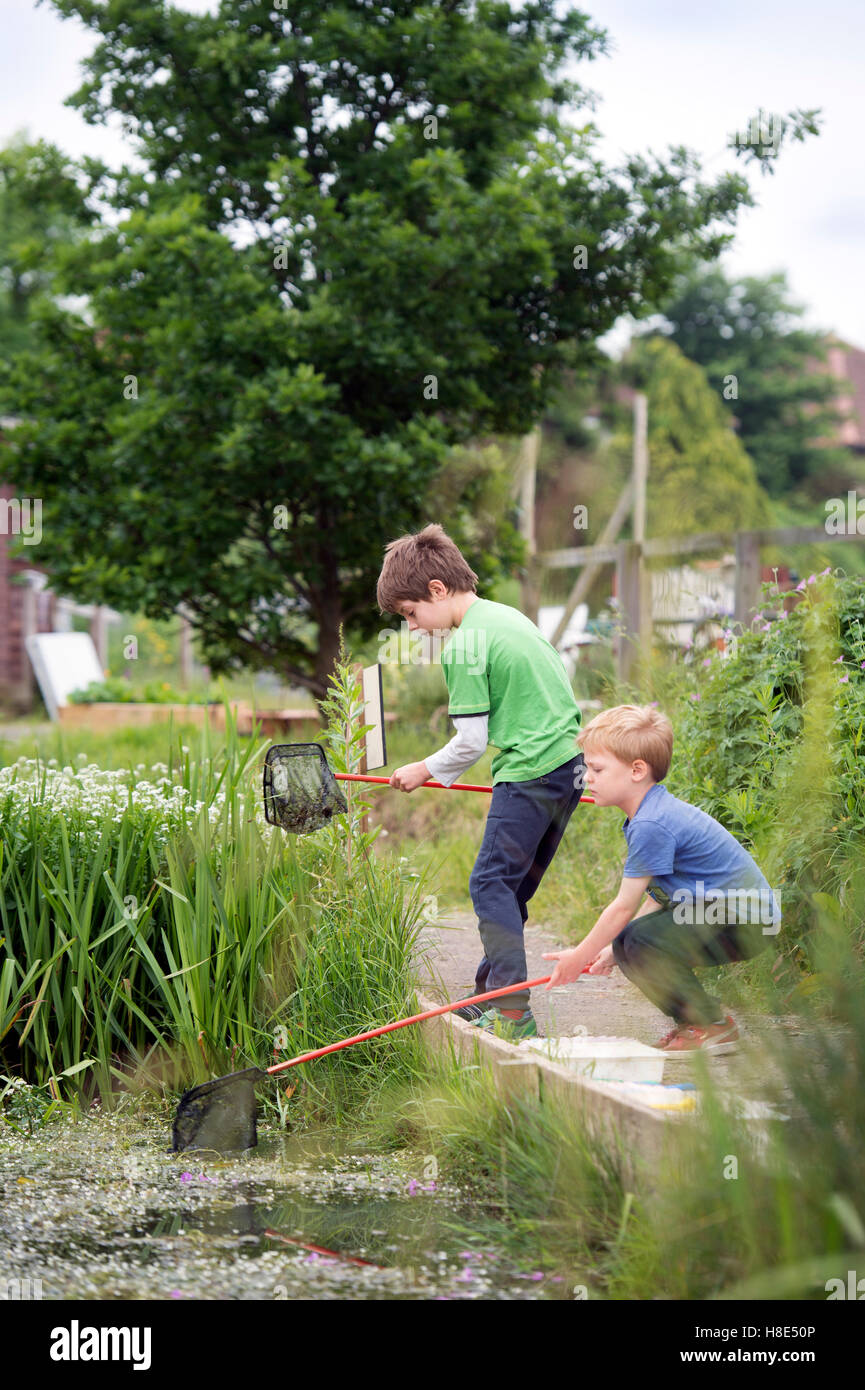Teich Eintauchen im The Golden Hill Community Garden in Bristol, Großbritannien Stockfoto
