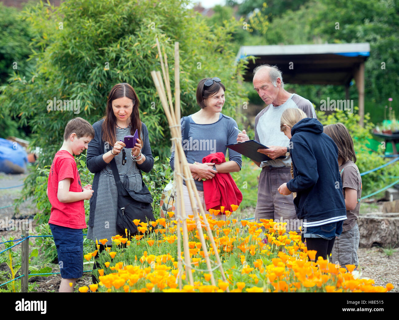 Das Golden Hill Gemeinschaftsgarten in Bristol UK Stockfoto