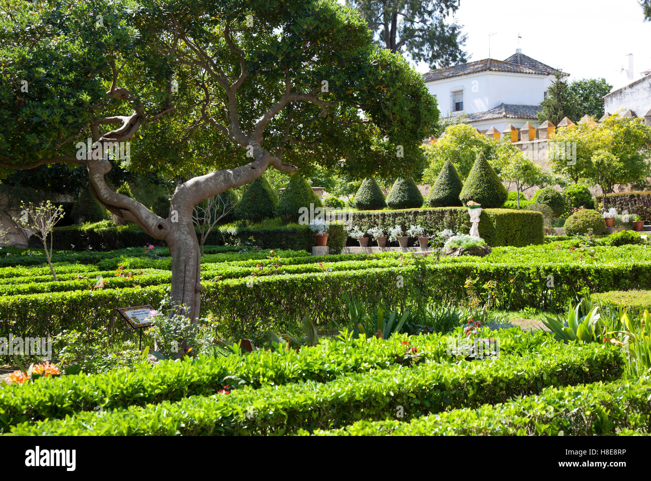 Frühling im Renaissance-Stil-Gärten des Palastes von Los Ribera in Bornos Stockfoto