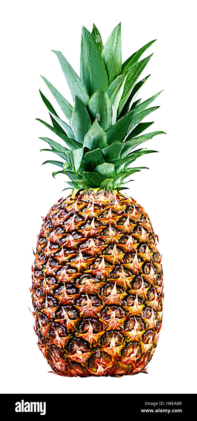 Ananas, isoliert auf weißem Hintergrund Stockfoto
