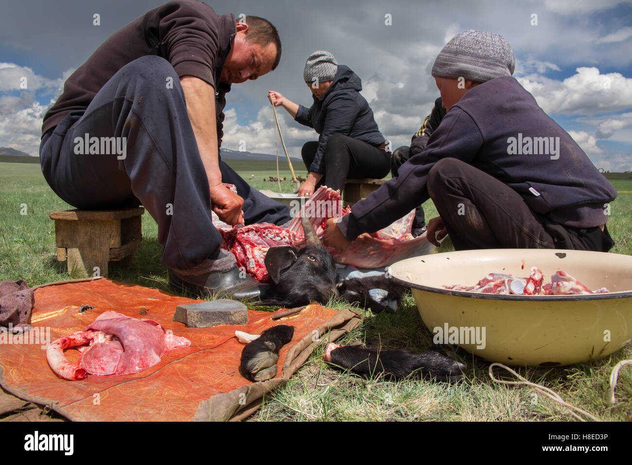 Kirgisistan - Nomaden-Familie schneiden eine Ziege während des Ramadan für Essen in der Nacht wenn Fasten ganztägig - See Lied Kol Stockfoto