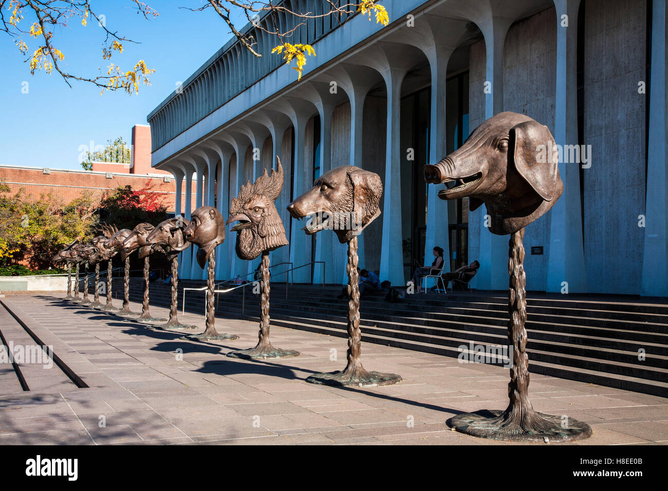 Tierkreis, Tierkreiskopfskulpturen des chinesischen Künstlers Ai weiwei, Princeton University, Robert Hall, New Jersey USA, 2016, FS:10,56 MB Art Stockfoto