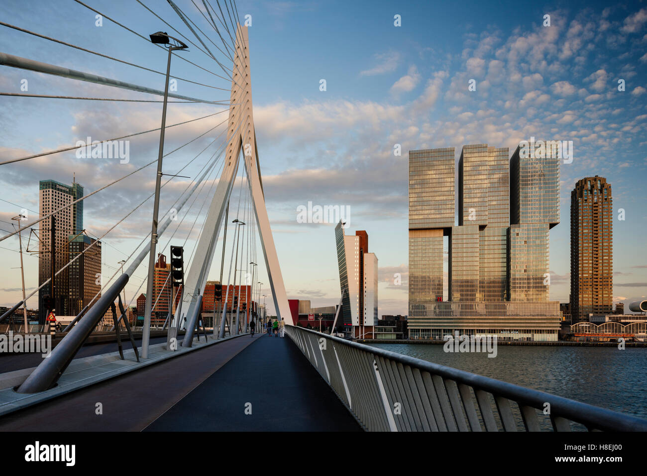 Erasmus-Brücke und De Rotterdam, Wilhelminakade, Rotterdam, Niederlande, Europa Stockfoto