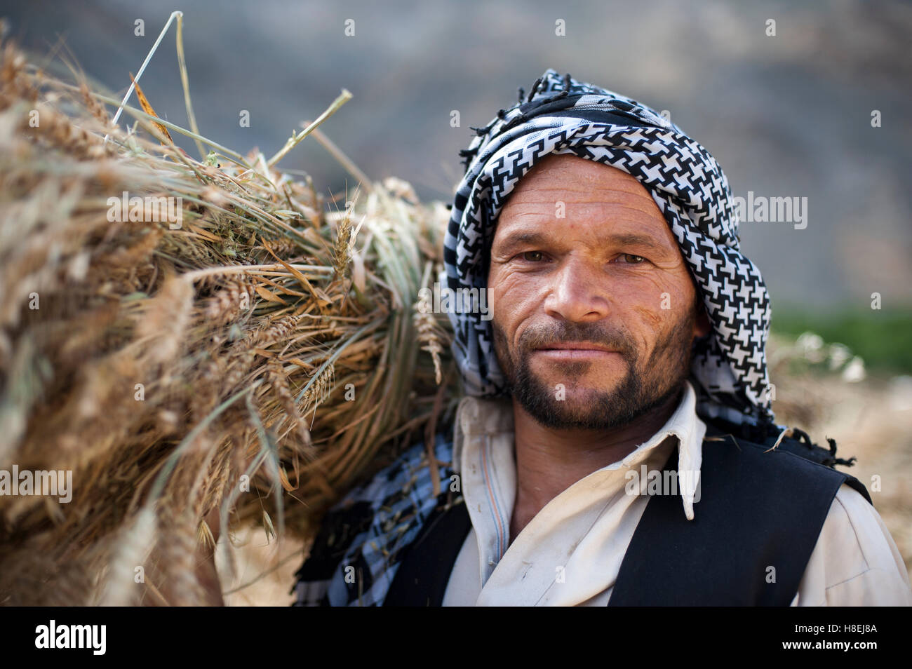 Ein afghanischer Mann aus dem Panschir-Tal hält ein frisch geernteten Bündel von Weizen, Afghanistan, Asien Stockfoto