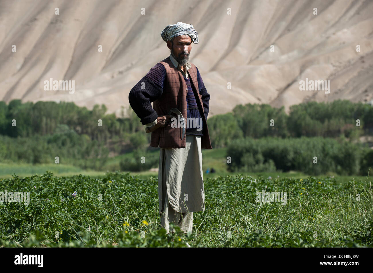 Die kahle Hügel das Bamiyan-Tal in Afghanistan, Provinz Bamiyan, Afghanistan, Zentralasien Stockfoto