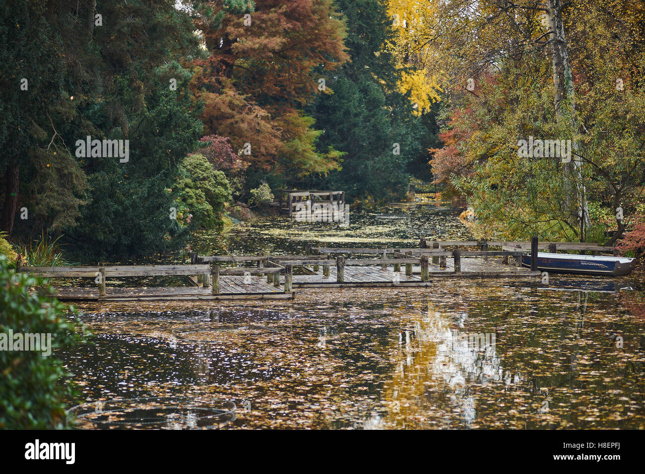 Herbstliche Stille leere Einsamkeit ruhigen Wasser Stockfoto