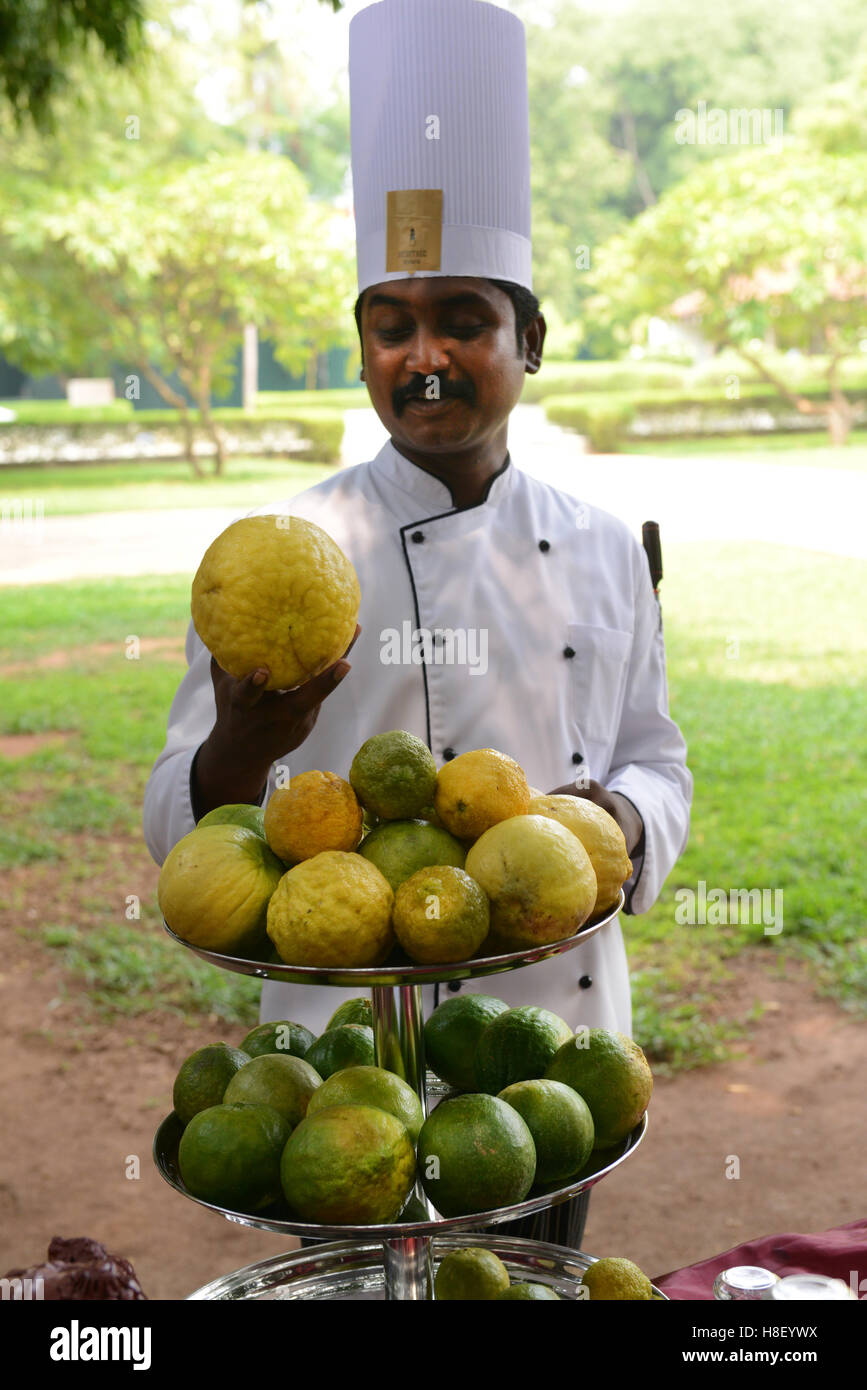 Koch Bharathi Mohan von Madurai Heritage Hotel halten frische Citrons. Stockfoto