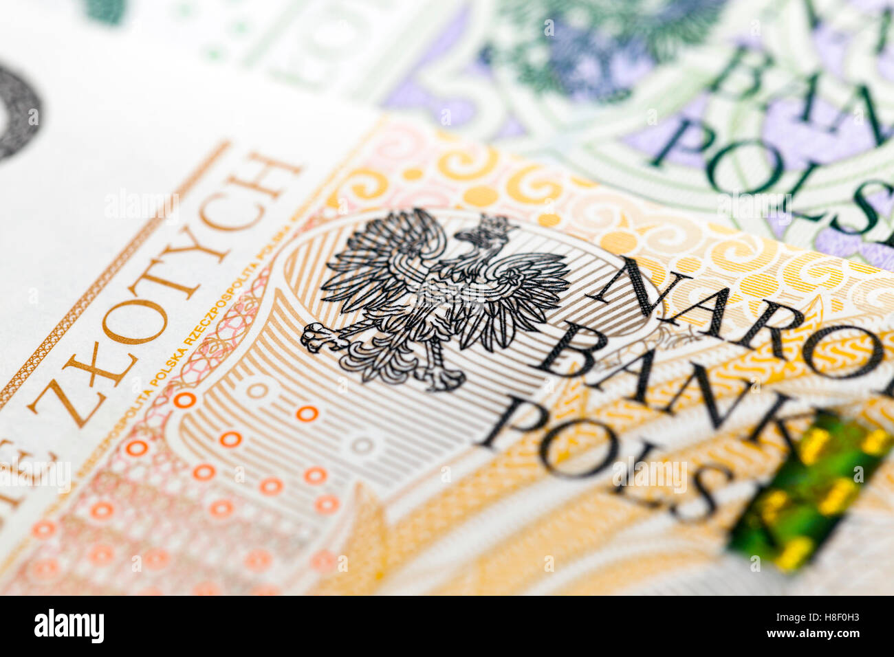 Polnischer Zloty closeup Stockfoto