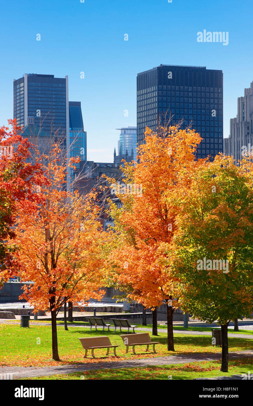 Herbst in Montreal, Kanada Stockfoto