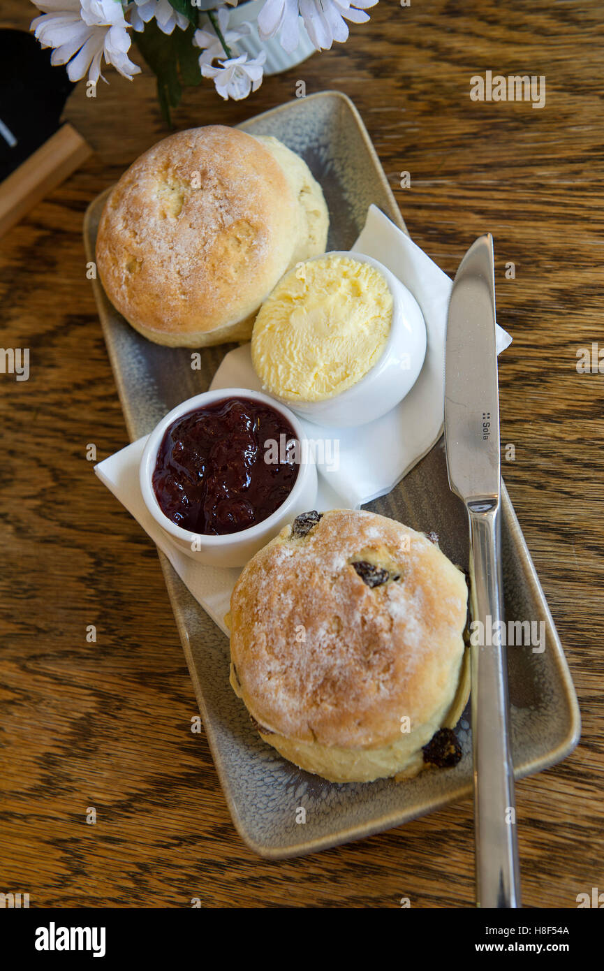 Einen traditionellen Cream Tea mit Gebäck, Tee, Creme und Marmelade. eine UK Englisch British Café Teestube Stockfoto