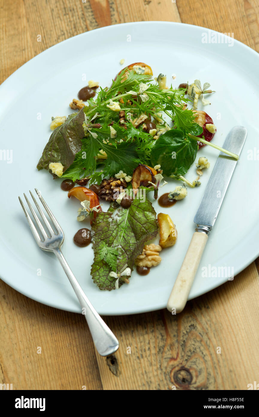 Ethicurian Superfood Salat Stockfoto