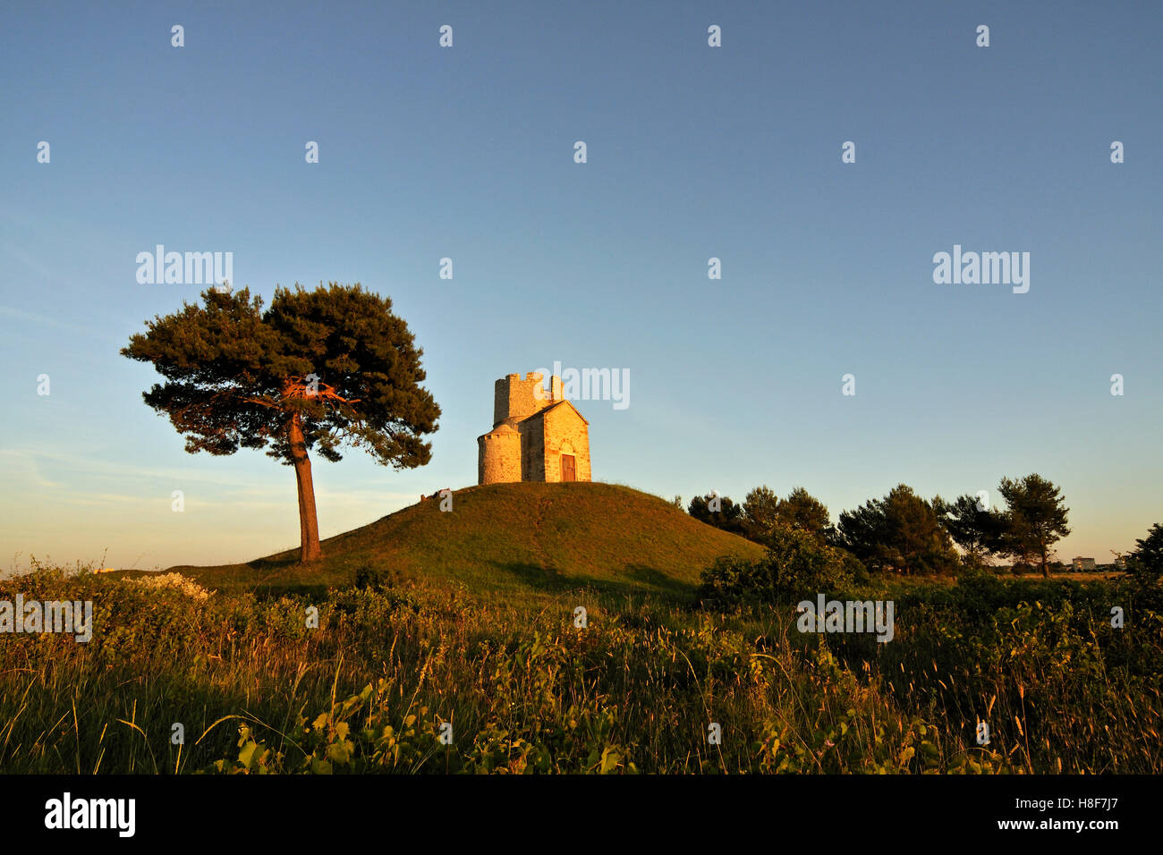 Baum und romanische St. Nicolas Church befindet sich auf irdenen Hügel in Bereichen der Prahulje in der Nähe von Nin in Dalmatien, Kroatien, Europa Stockfoto