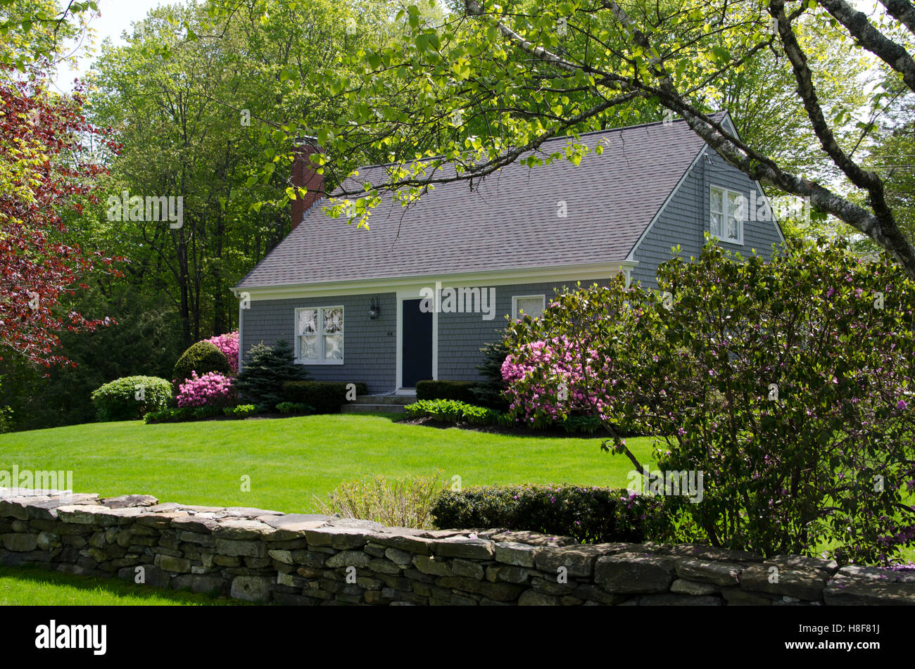 Gray Cape Cod Holzhaus im Frühjahr mit blühenden Pflanzen Yarmouth ME, USA Stockfoto