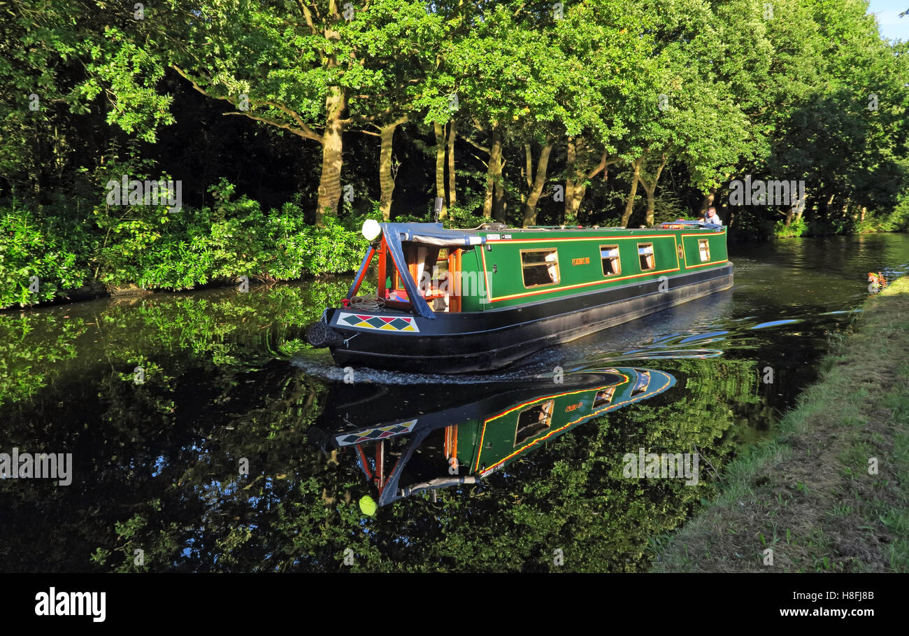 Schmale Boot auf Bridgewater Canal Runcorn im Sommer, Ufer, Cheshire, England, UK Stockfoto