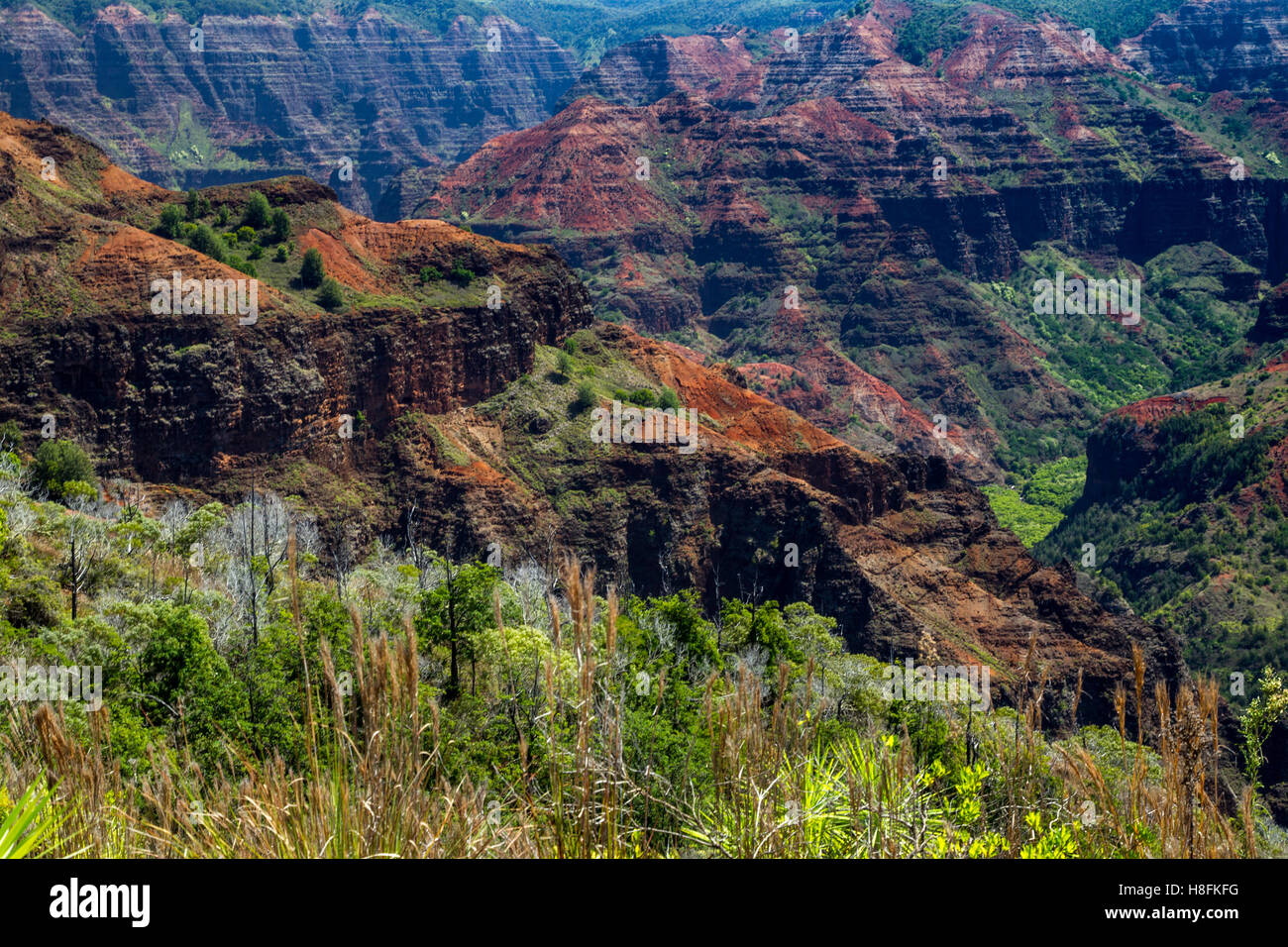 Ausblick über den Waimea Canyon auf Kauai, Hawaii, USA. Stockfoto