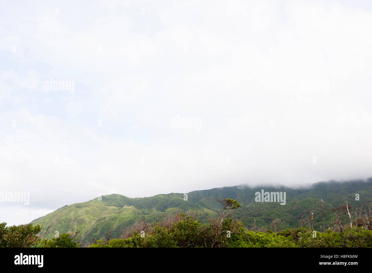 Bitte, JAPAN Wolken Rollen über die Hügel auf Hachijoo Insel. Stockfoto
