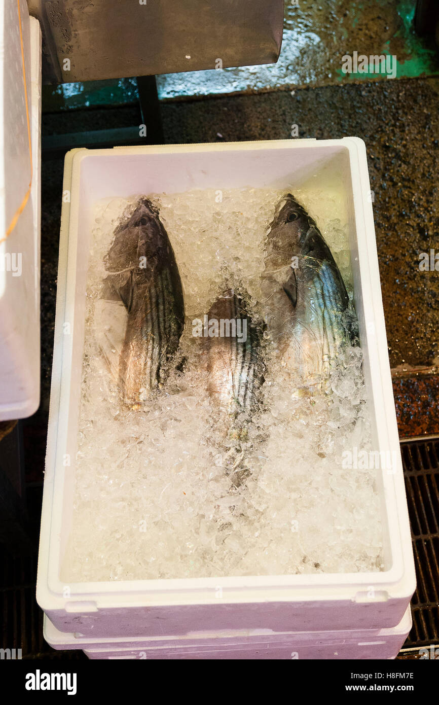 Kyoto, Japan. Fisch zum Verkauf auf dem Nishiki-Lebensmittelmarkt. Stockfoto