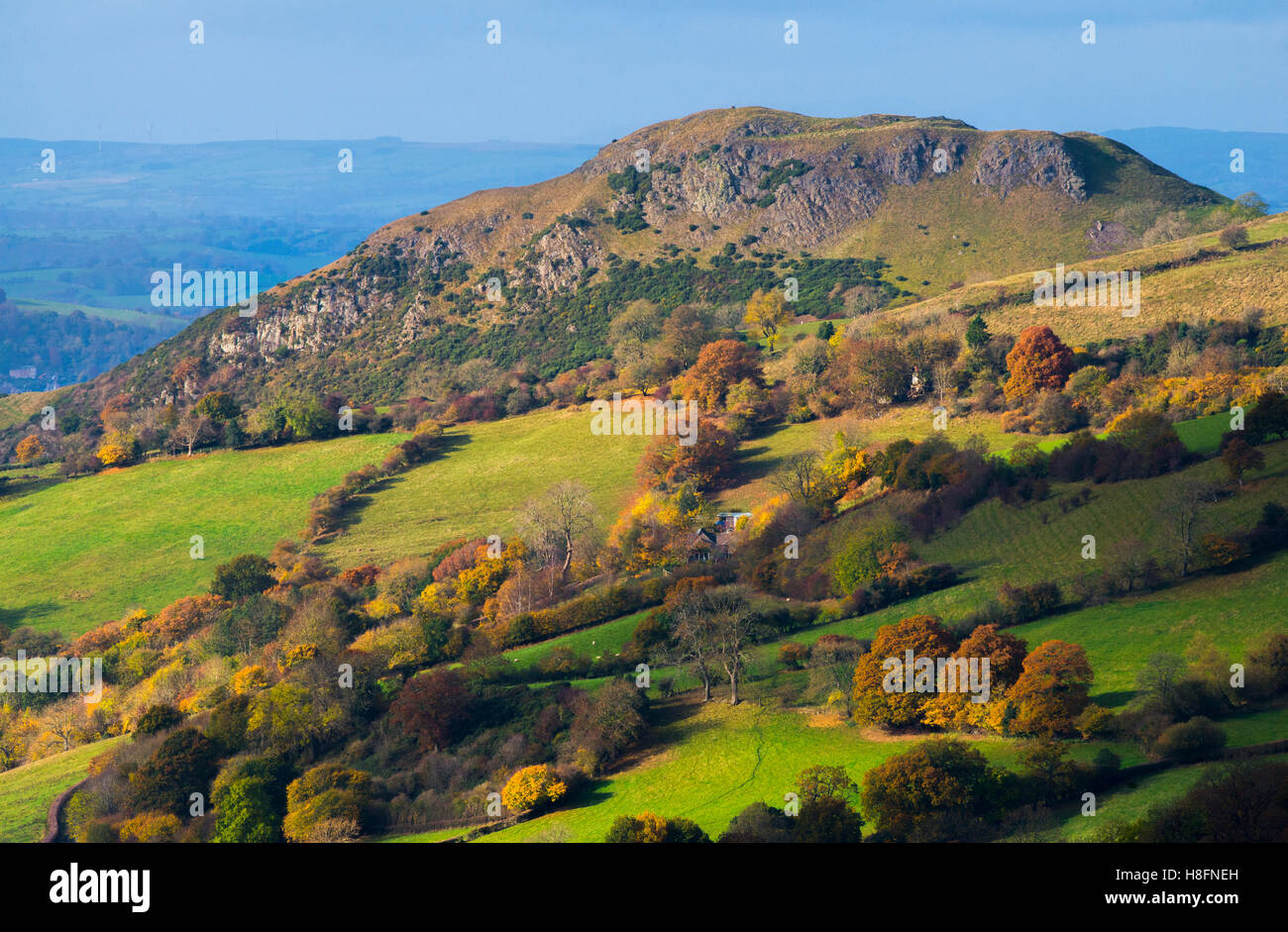 Roundton Hill in Powys, Wales, gesehen von Heath Mynd, Shropshire, England, UK. Stockfoto