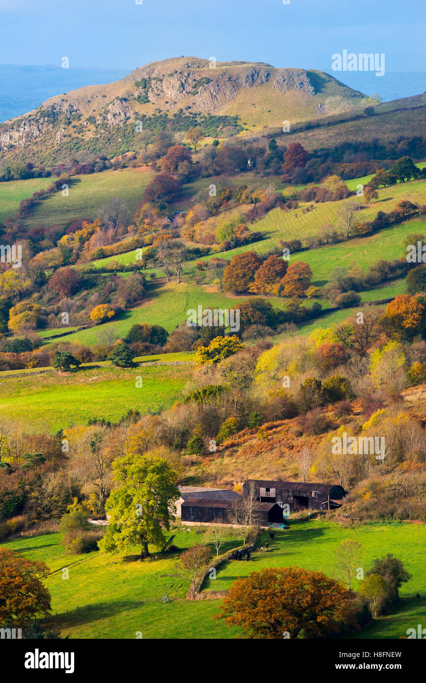 Walisische Landschaft im Herbst mit Roundton Hügel in der Ferne, Powys. Stockfoto