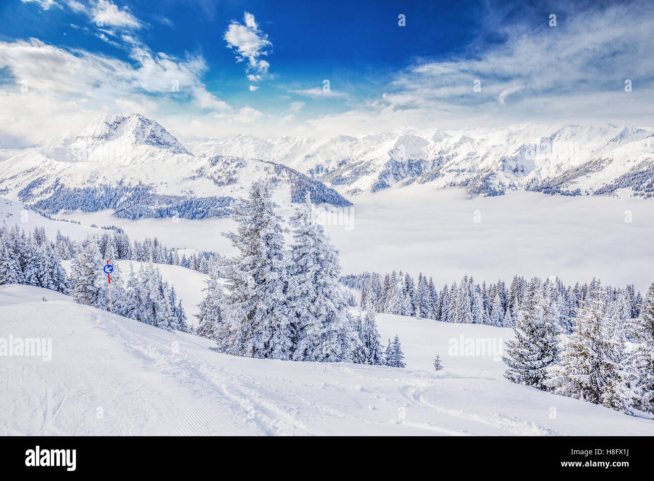 Bäumen fallenden Neuschnee im Tiroler Alpen vom Skigebiet Kitzbühel - eines der besten Skigebiet der Welt. Stockfoto