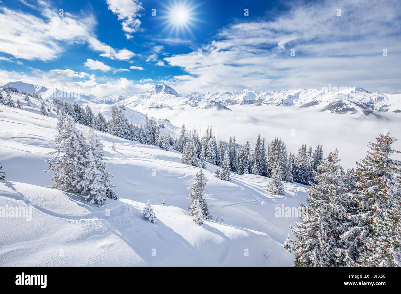 Bäumen fallenden Neuschnee in den Tiroler Alpen. Atemberaubende Winterlandschaft in der Nähe von Kitzbühel, Österreich. Stockfoto