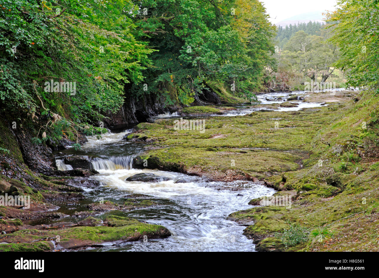 Ein Blick auf den Fluss North Esk über Gannochy Brücke, Edzell, Angus, Schottland, Großbritannien, Europa. Stockfoto