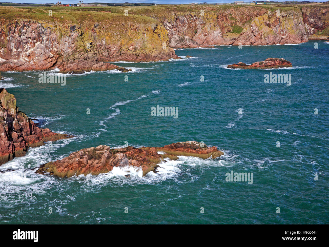 Ein Blick auf die steilen Klippen und Felsenküste am Bullers Buchan, Aberdeenshire, Schottland, Vereinigtes Königreich. Stockfoto