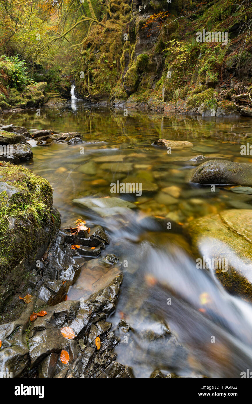 Moness brennen bei Birks von Aberfeldy in Perthshire, Schottland. Stockfoto