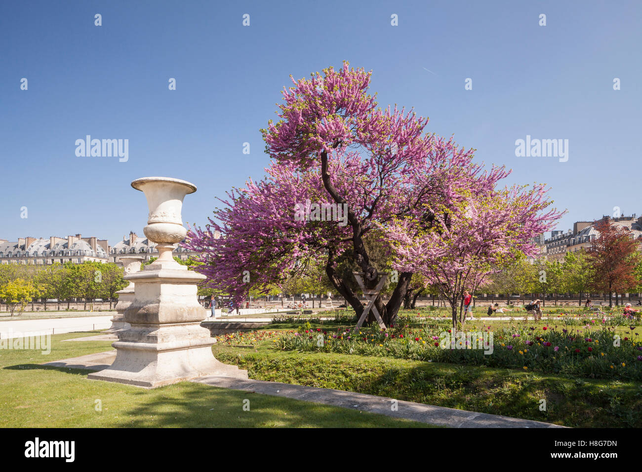 Palais Des Tuileries Stockfotos und bilder Kaufen Alamy