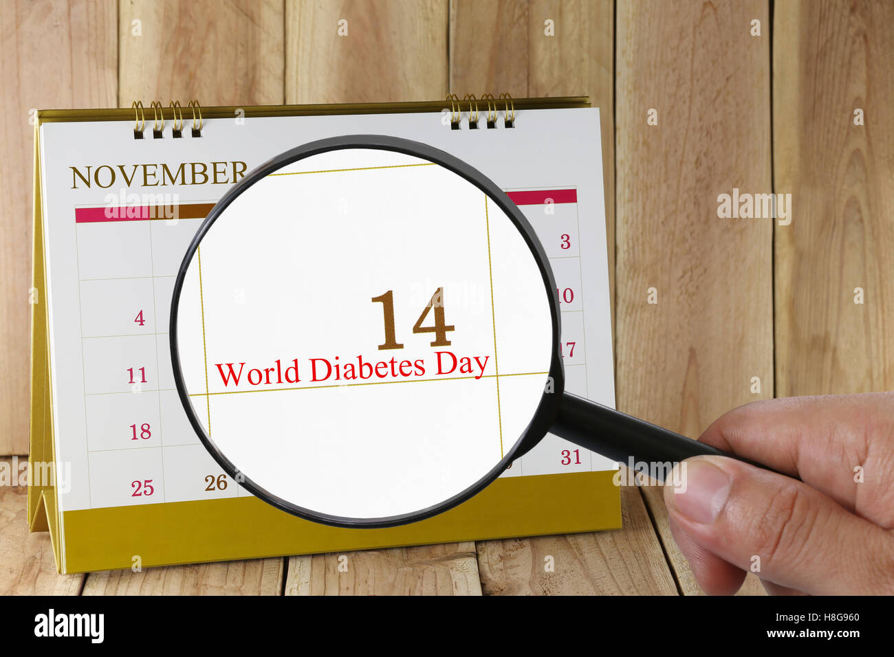 Lupe in der Hand im Kalender können Sie World Diabetes Day in 14 November Konzept einer PR-Kampagne Leben suchen. Stockfoto