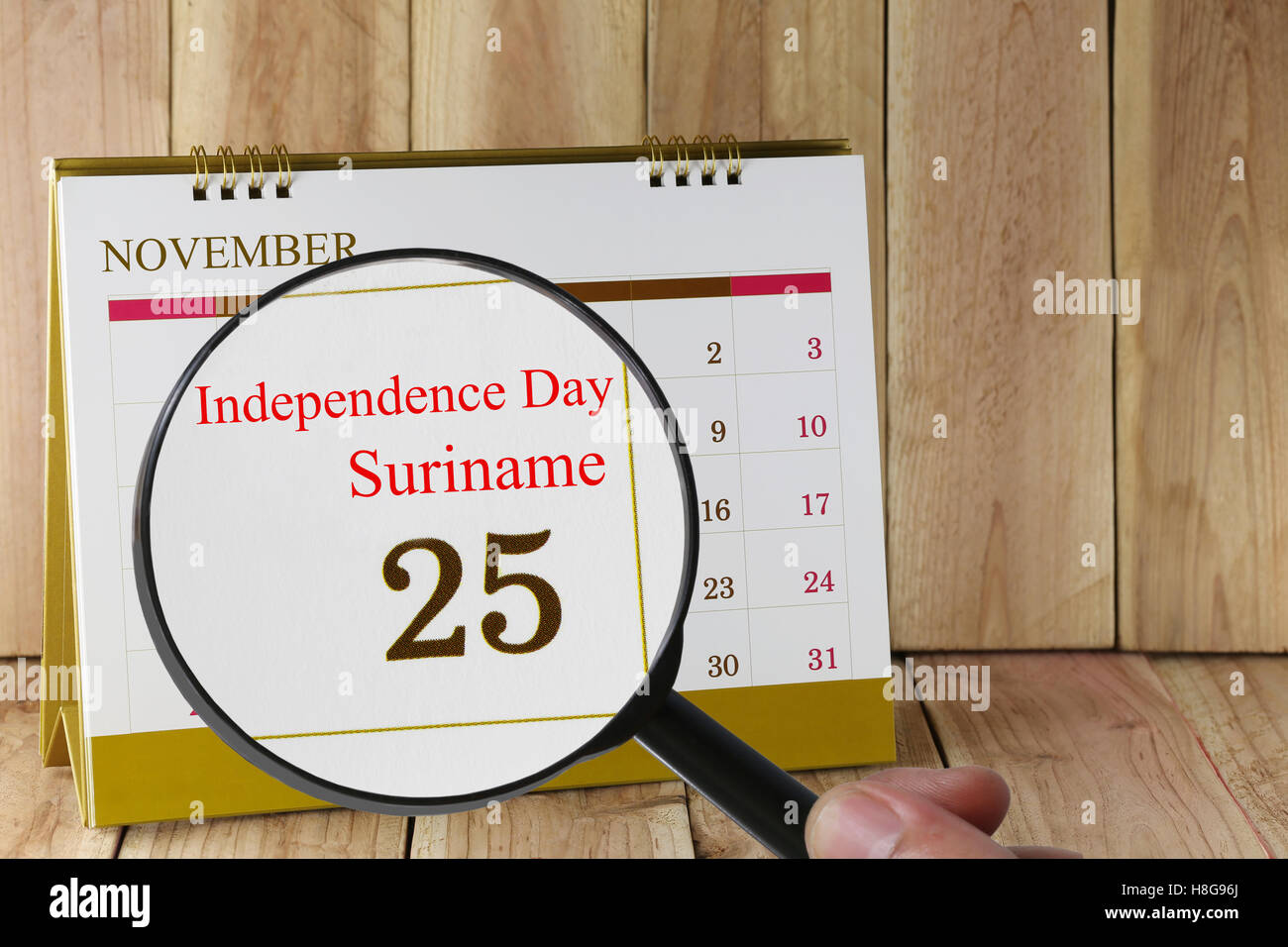 Lupe in der Hand im Kalender sehen Sie Tag der Unabhängigkeit von Suriname am 25 November, Konzept eines PR-Camp Stockfoto