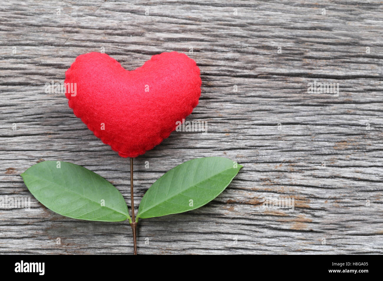 Rotes Herz, platziert auf einem alten Holztisch in Verbindung mit Äste eines Baumes und haben grüne Blätter, Konzept der Liebe Einfühlungsvermögen kümmern Stockfoto