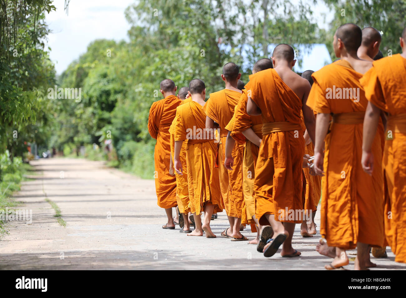 Mönche gingen auf der Straße für Kopf zum religiösen Zeremonien in der traditionellen buddhistischen Tempel. Stockfoto
