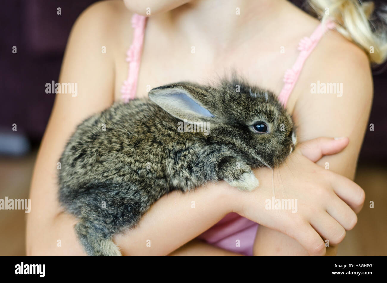 kleine blonde Mädchen halten junge Kaninchen Stockfoto