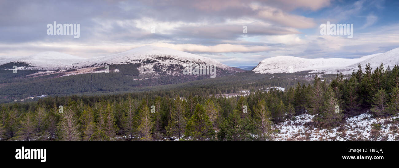 Glen mehr und Glenmore Forest Park in den Cairngorms, Schottland. Stockfoto