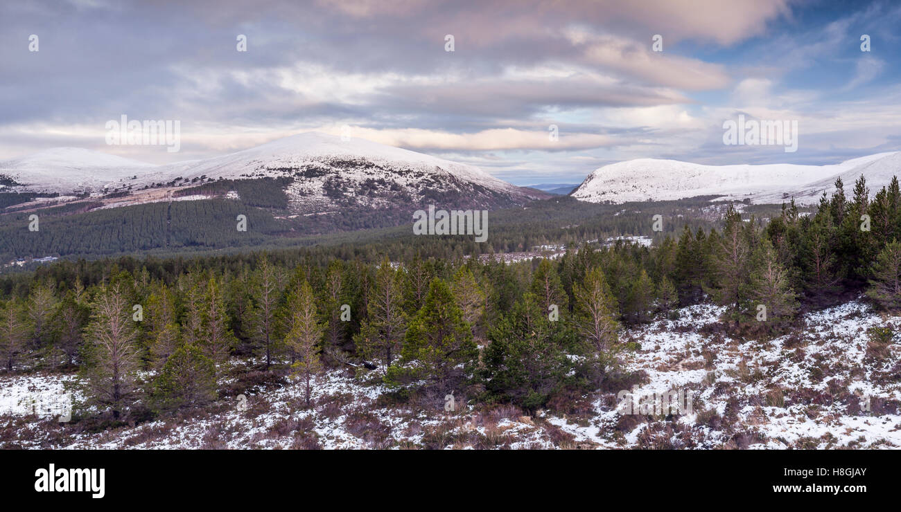 Glen mehr und Glenmore Forest Park in den Cairngorms, Schottland. Stockfoto