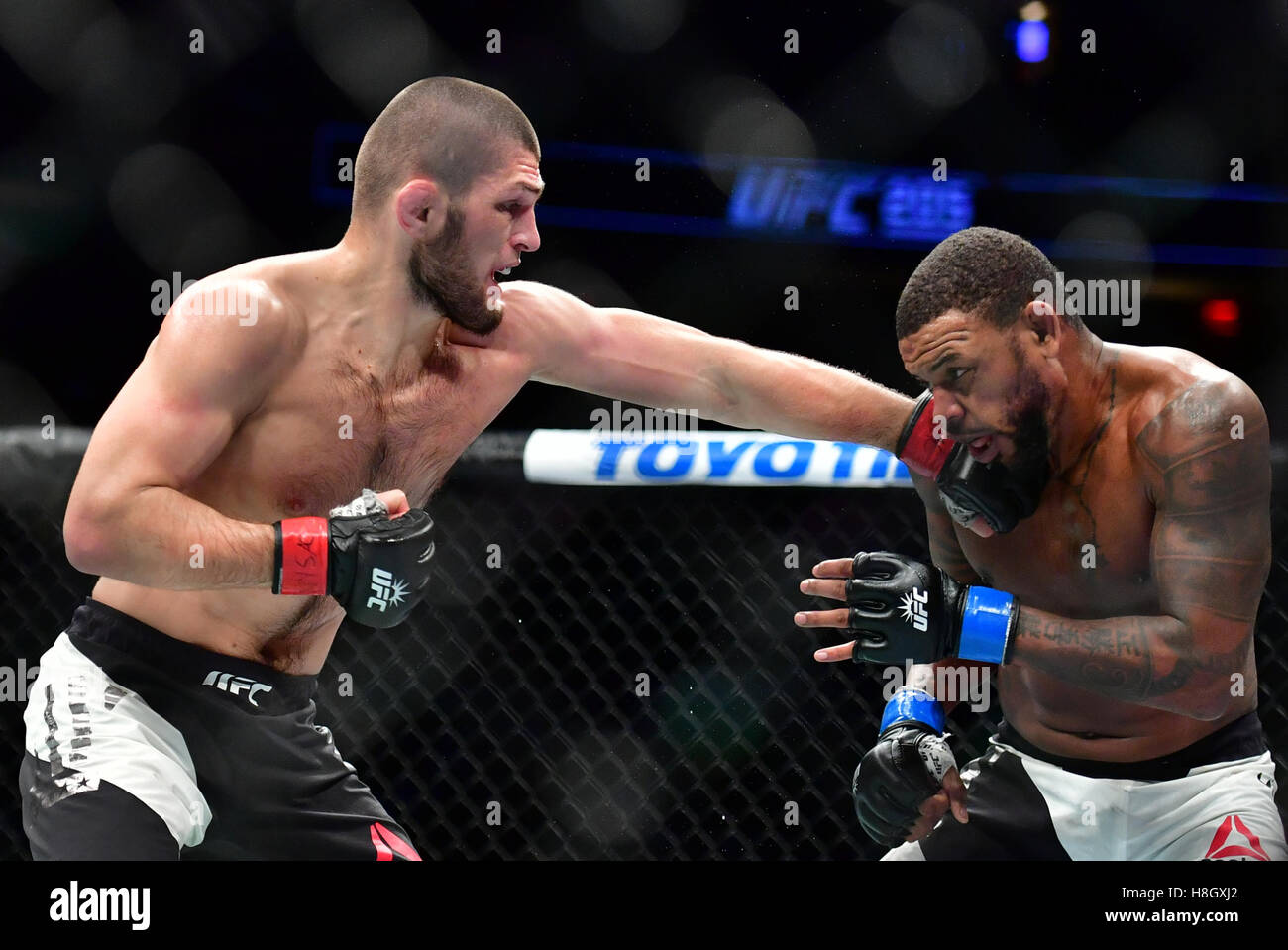 New York, USA. 12. November 2016. Khabib Nurmagomedov "Der Adler" (rote Handschuhe) vs. Michael "The Menace" Johnson (blaue Handschuhe) bei UFC 205 im Madison Square Garden. Bildnachweis: Jason Silva / Alamy Live News Stockfoto