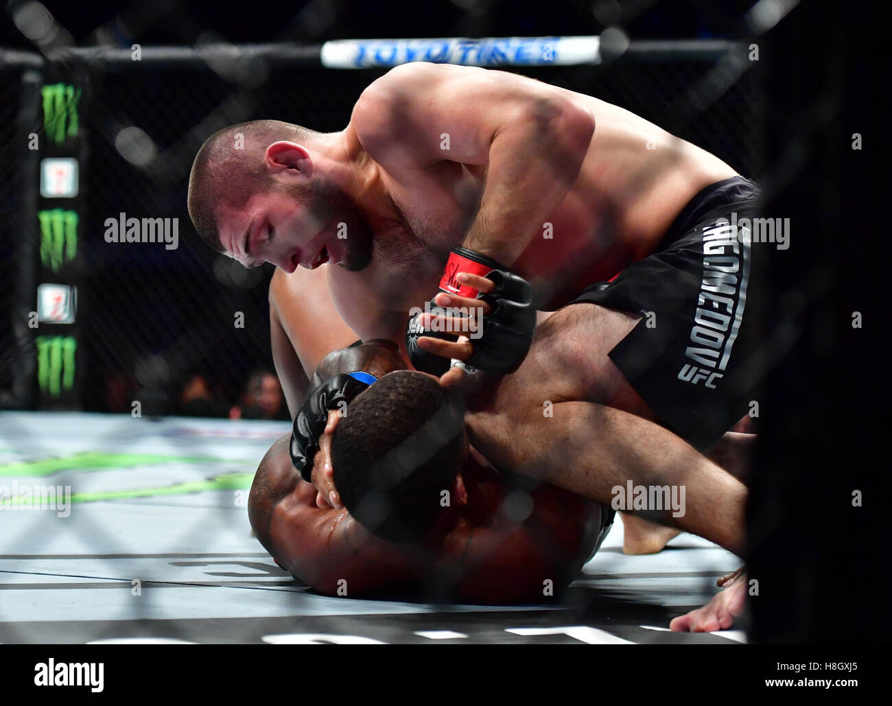 New York, USA. 12. November 2016. Khabib Nurmagomedov "Der Adler" (rote Handschuhe) vs. Michael "The Menace" Johnson (blaue Handschuhe) bei UFC 205 im Madison Square Garden. Bildnachweis: Jason Silva / Alamy Live News Stockfoto