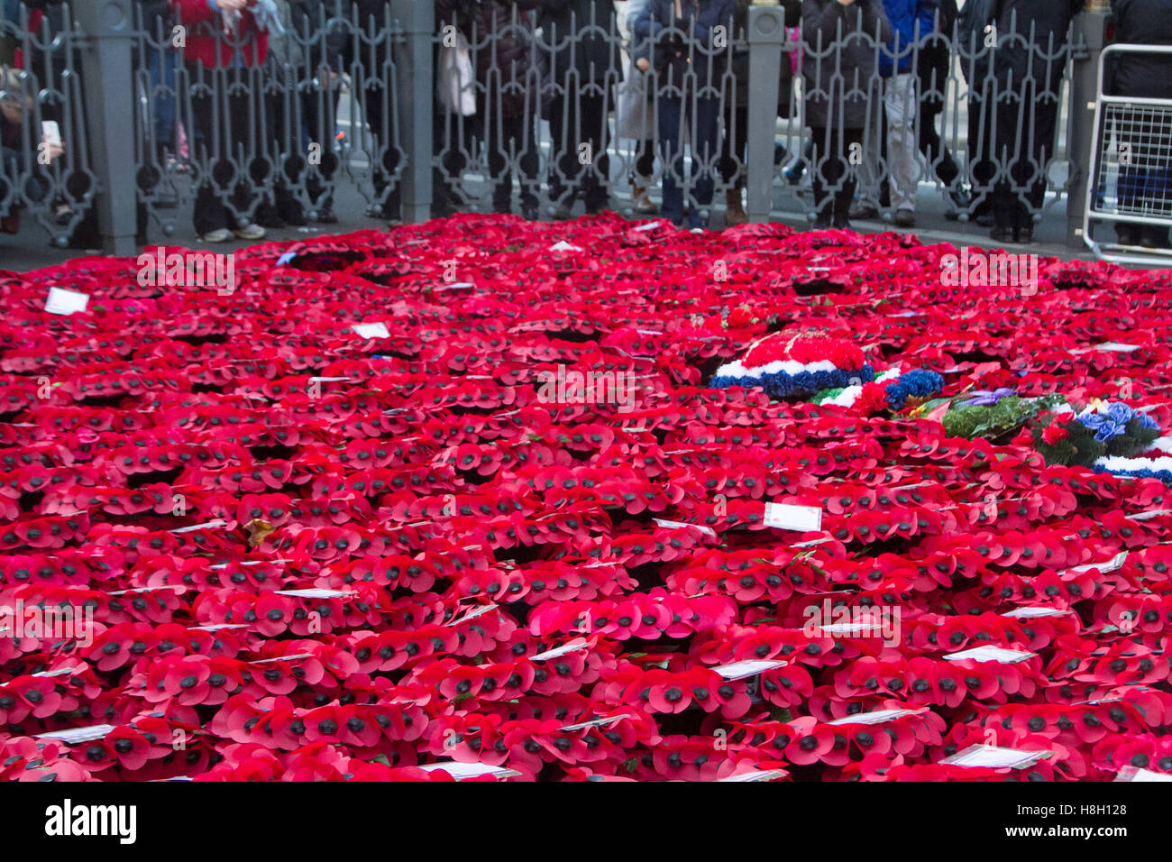 London UK.13th November 2016. Große Menschenmengen anzeigen die Denkmal Kränze um den Kenotaph während Remembrance Sunday von Mitgliedern der königlichen Familie, Politiker und Streitkräften Credit gelegt: Amer Ghazzal/Alamy Live-Nachrichten Stockfoto