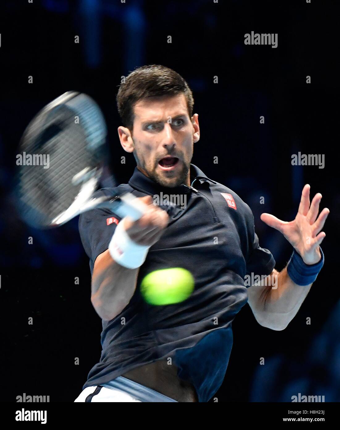 London, UK. 13. November 2016. Barclays ATP World Tour Finals 02 Arena London UK Novak Djokovic SRB V Dominic Thiem AUT Djokovic in Aktion während des Spiels, welches er 2: 1 Credit gewann: Leo Mason/Alamy Live News Stockfoto