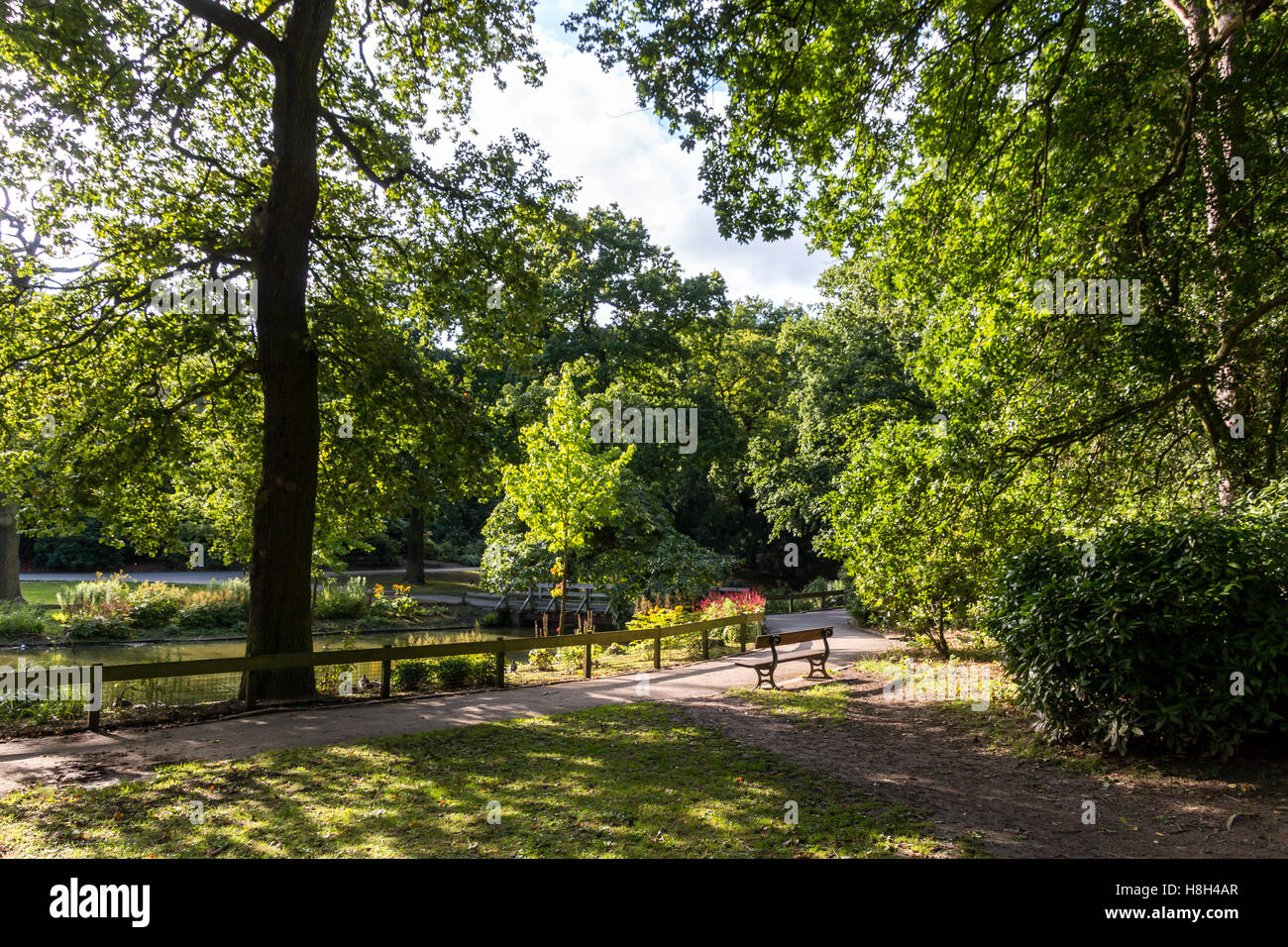 Ein sonniger Tag im Temple Newsam Park. Stockfoto