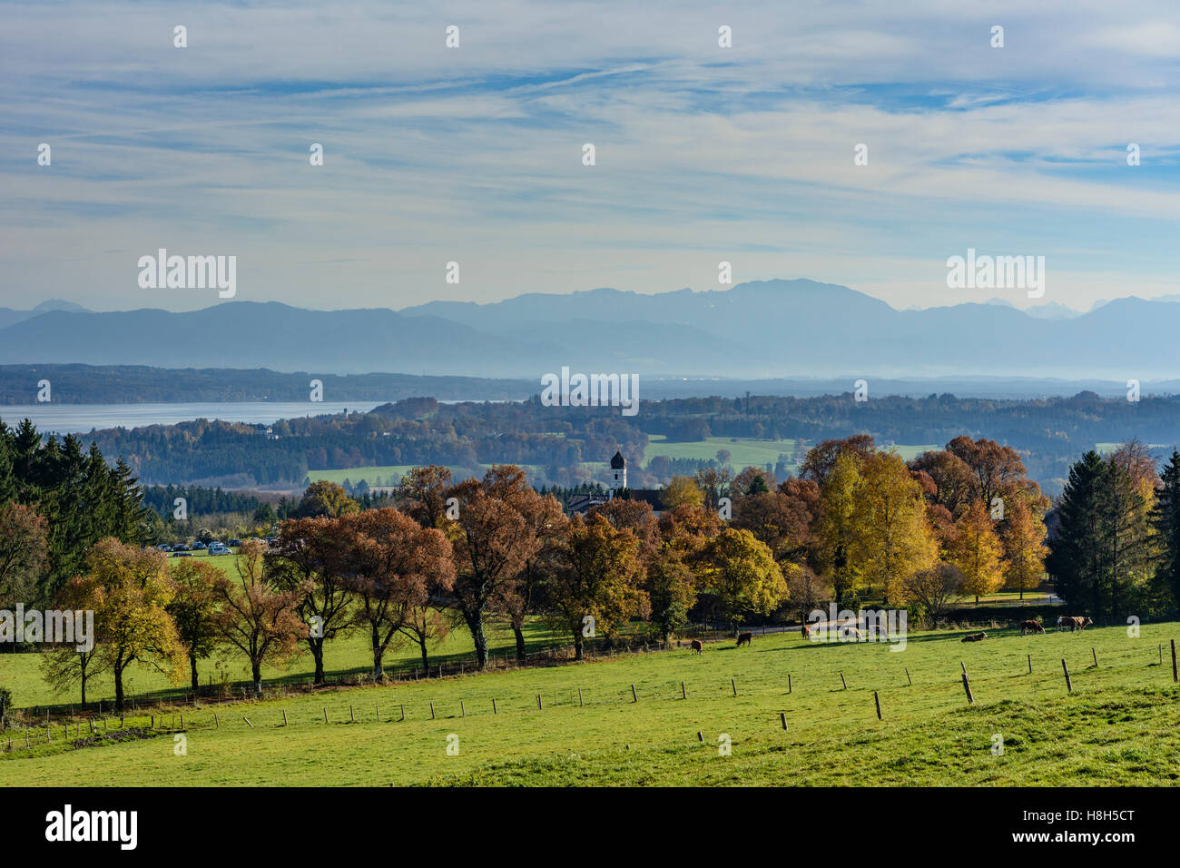 Tutzing: Starnberger See (Starnberger See), Zeile Buchenwald, Alpen, Oberbayern, Oberbayern, Bayern, Bayern, Deutschland Stockfoto