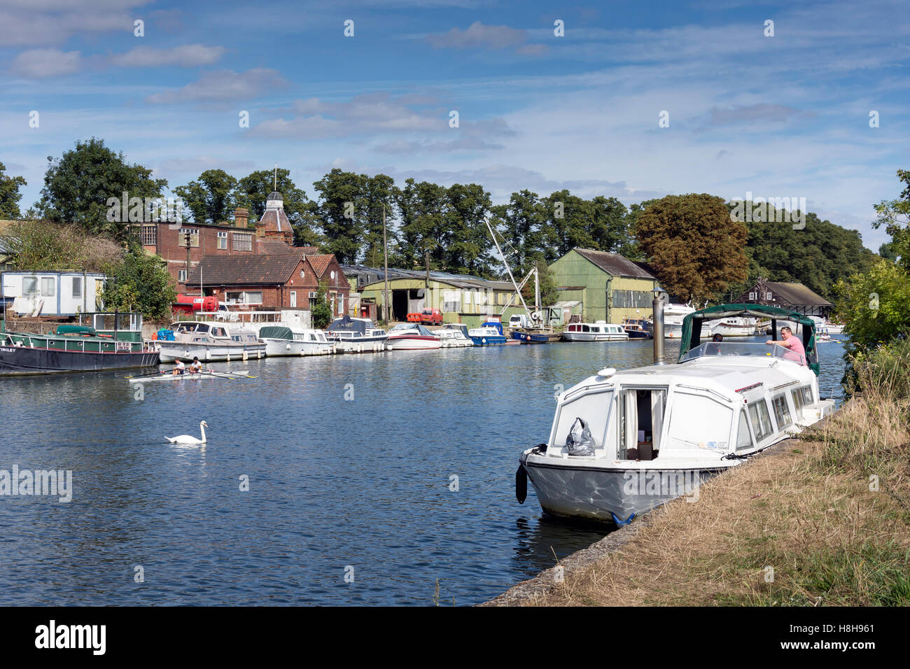 Platts Eyot Insel über Themse von Hurst Park, West Molesey, Surrey, England, Vereinigtes Königreich Stockfoto
