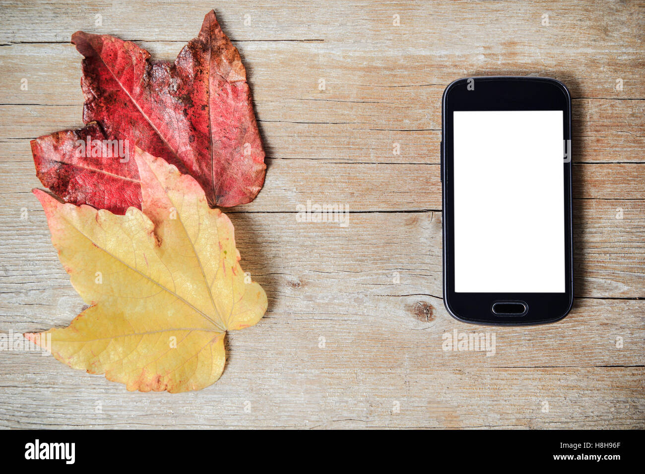 Handy mit weißen kopieren Speicherplatz auf hölzernen Hintergrund und zwei Blätter im Herbst Stockfoto