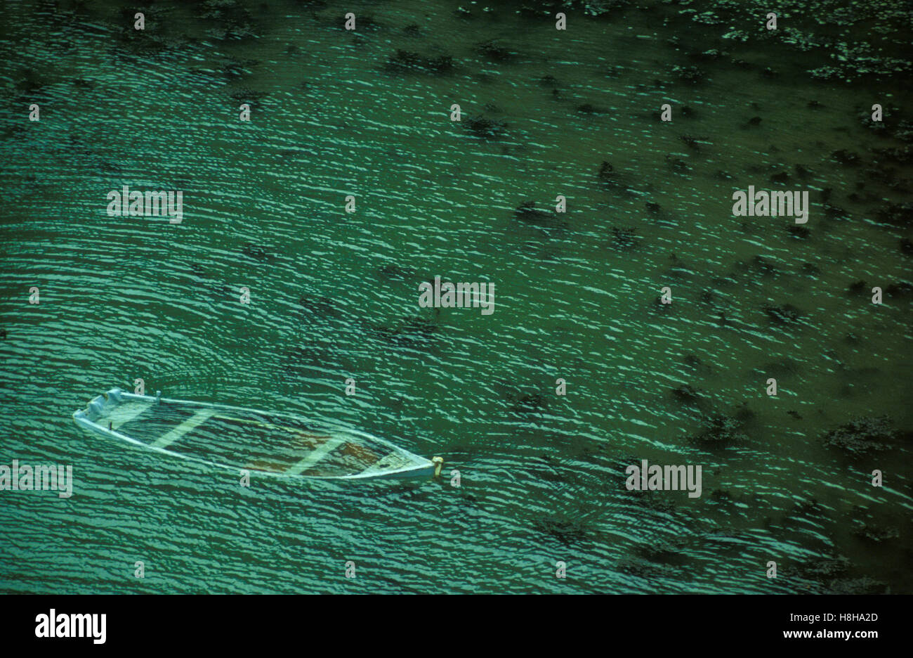 Versenkt, Boot, Boot, Vergänglichkeit, geheimnisvolle, morbid, Bretagne, Frankreich Stockfoto