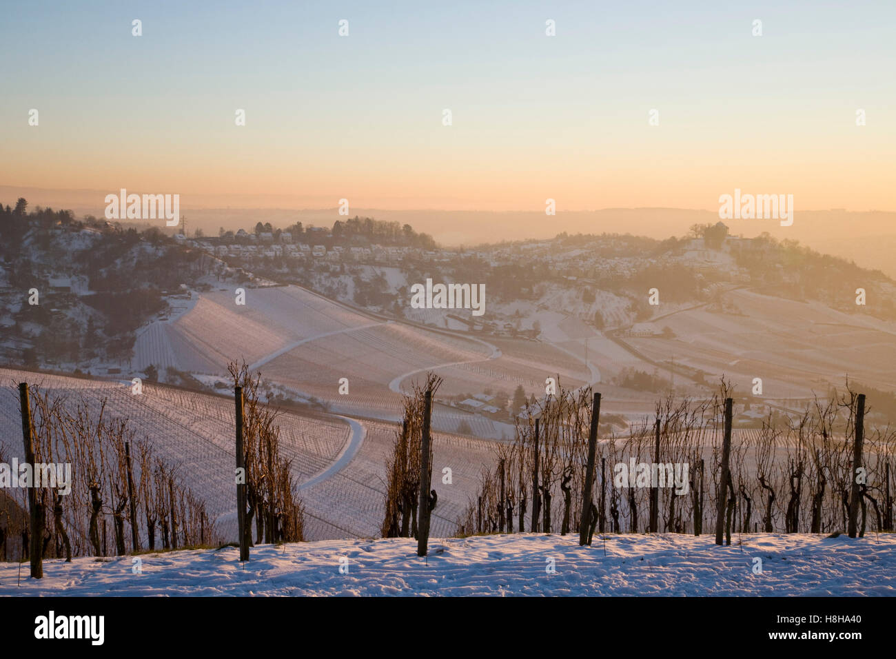 Weinberge im Winter, Reben, Weinberge, Blick Richtung Mt. Rotenberg, Schnee, Stuttgart, Baden-Württemberg Stockfoto