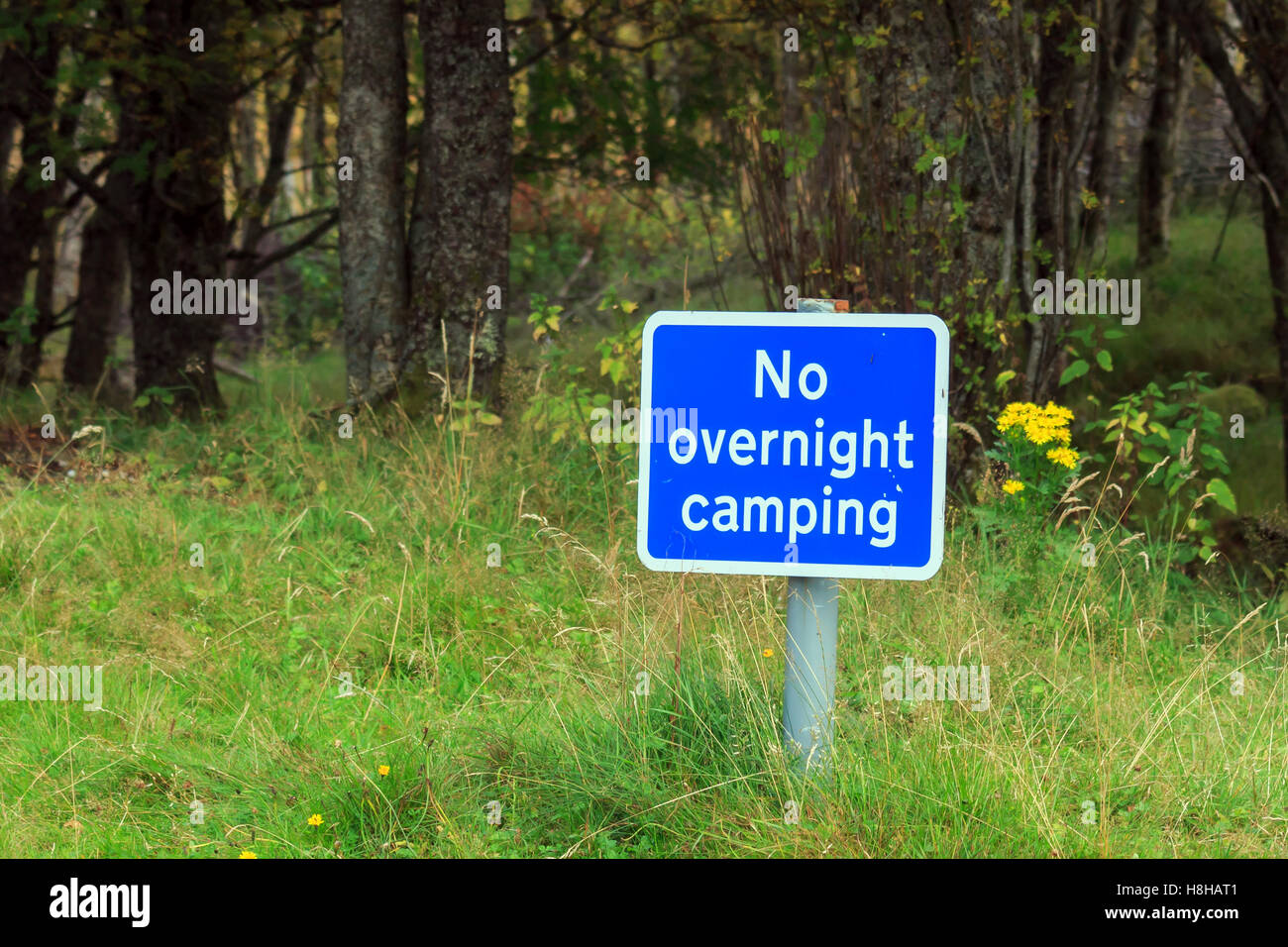 Blaues No Overnight Camping Schild auf eine kurze Nachricht an der Seite der Straße Stockfoto
