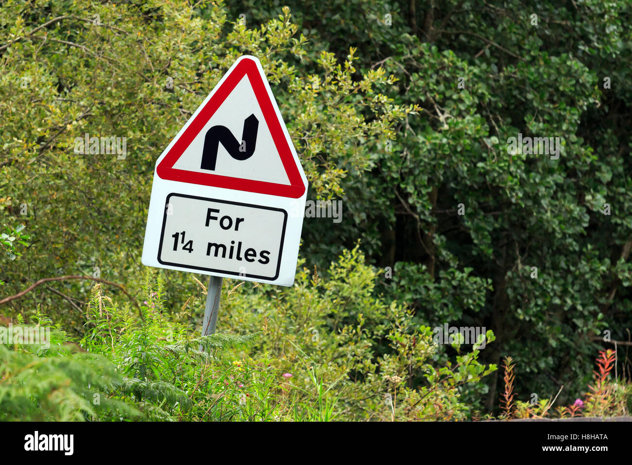 Verkehrszeichen Achtung Kurven für ein und ein Viertel Meilen Stockfoto