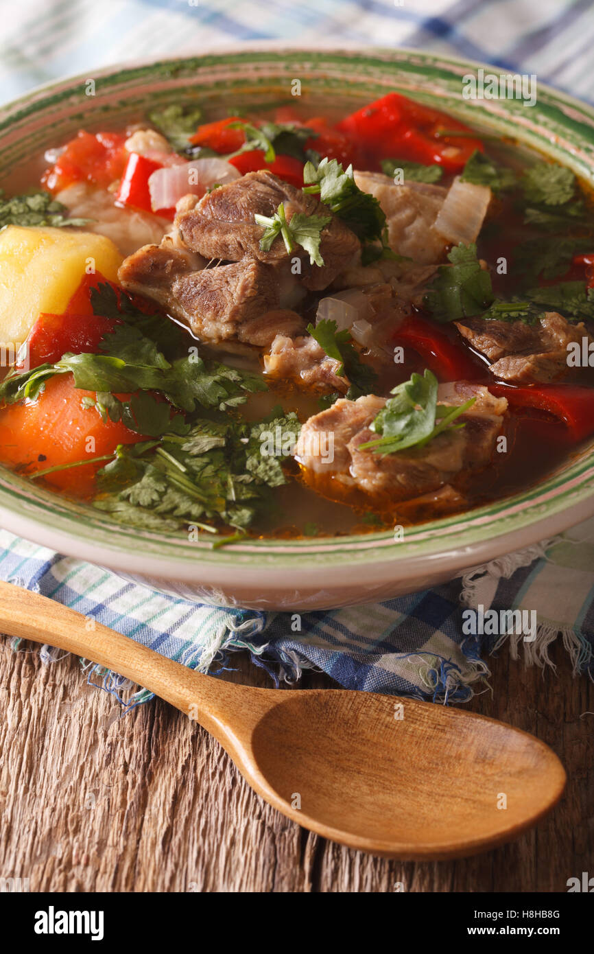 Lamm-Suppe mit Gemüse Closeup auf den Teller auf den Tisch. vertikale Stockfoto