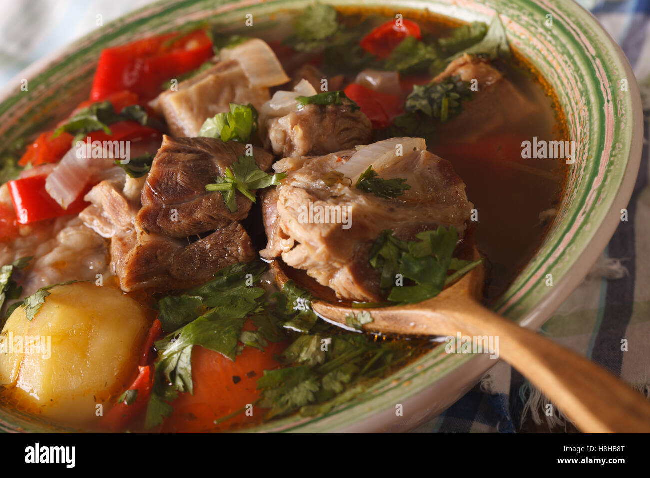 dicke Suppe vom Lamm mit Gemüse auf den Teller-Makro. horizontale Stockfoto